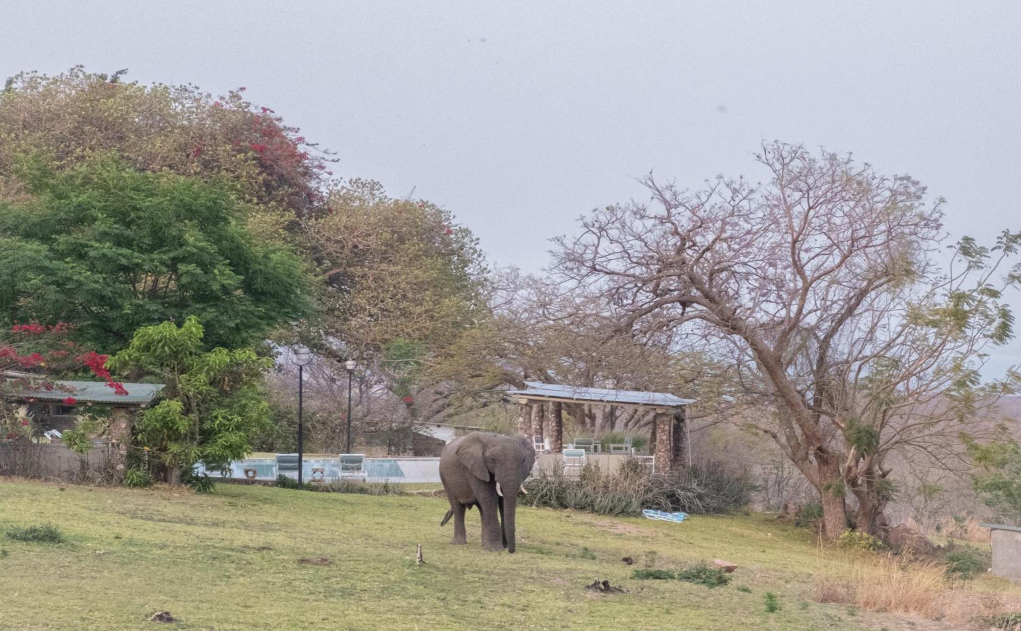Musungwa Safari Lodge Shanjungu Kültér fotó
