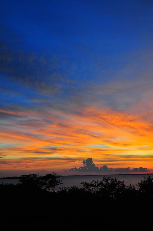 Musungwa Safari Lodge Shanjungu Kültér fotó